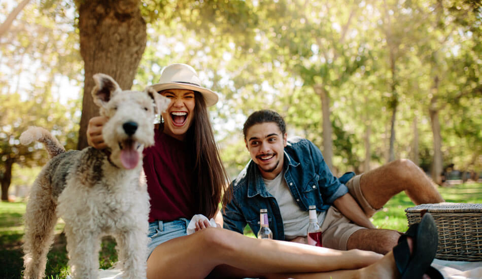 Redbrook Apartments in Plymouth MA is Pet Friendly Apartments for Dogs or Cats